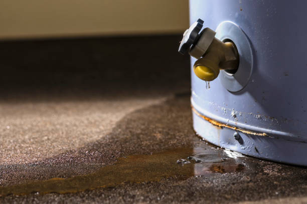 Best Sewage cleanup and water damage restoration  in Rice Lake, WI