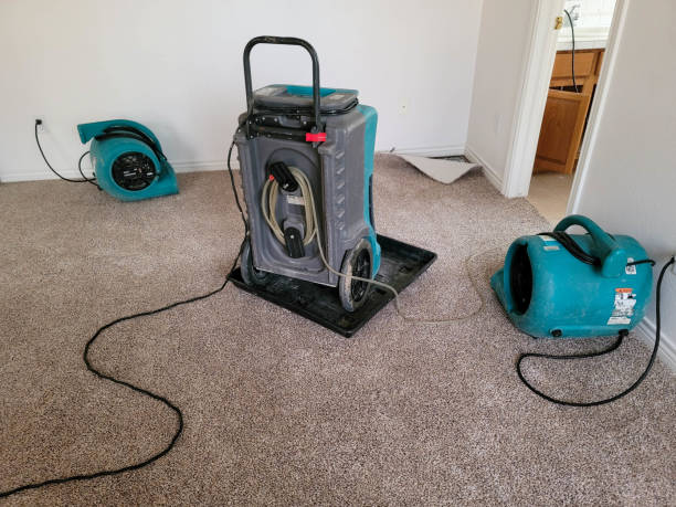 Best Ceiling water damage repair  in Rice Lake, WI