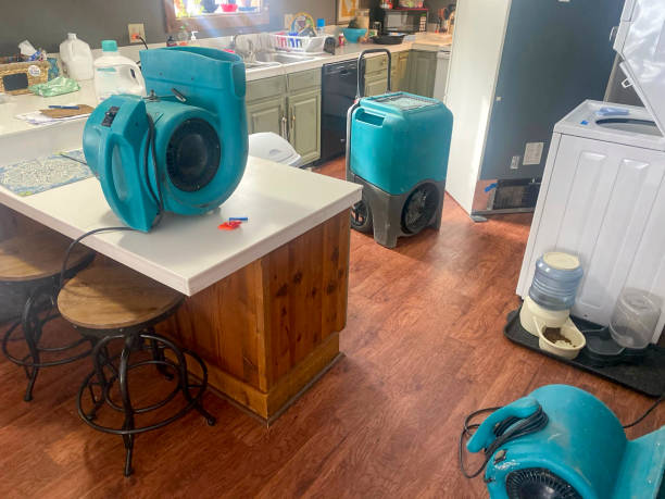Best Flooded house restoration  in Rice Lake, WI