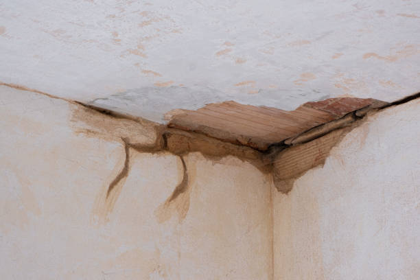 Best Basement water damage restoration  in Rice Lake, WI