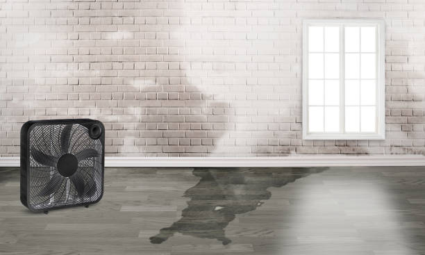 Best 24/7 water damage repair  in Rice Lake, WI