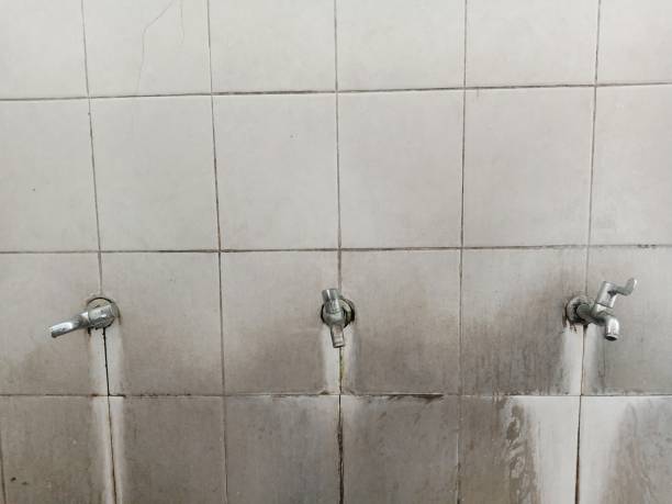 Best Flooded house restoration  in Rice Lake, WI