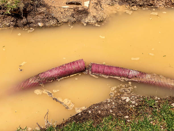 Best Water damage cleanup near me  in Rice Lake, WI